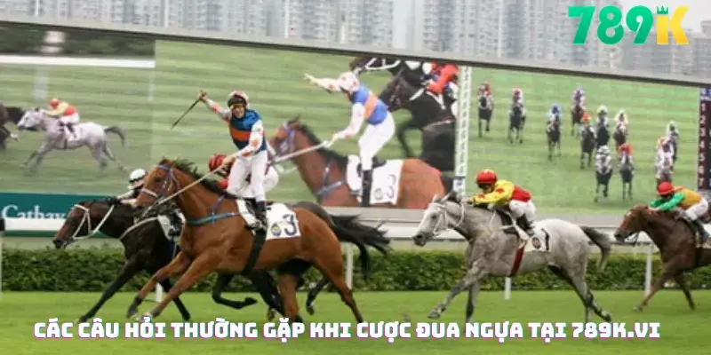 Các Câu Hỏi Thường Gặp Khi Cược Đua Ngựa Tại 789K.vi