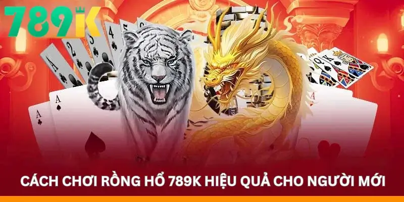 Cách chơi Rồng hổ 789K hiệu quả cho người mới