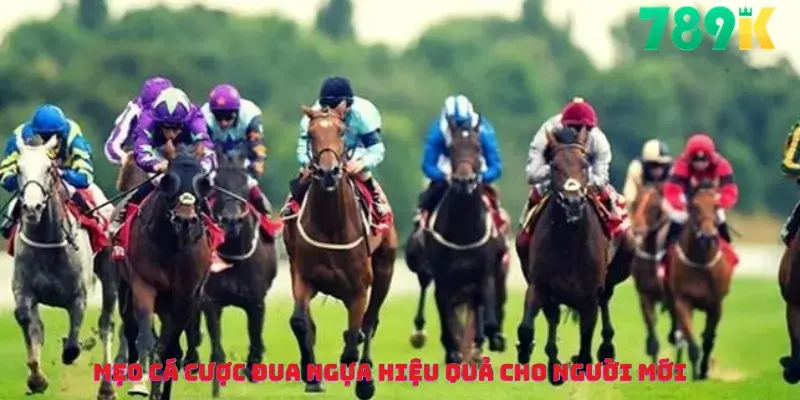 Mẹo Cá Cược Đua Ngựa Hiệu Quả Cho Người Mới