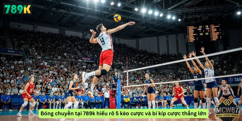 Bóng chuyền tại 789k hiểu rõ 5 kèo cược và bí kíp cược thắng lớn