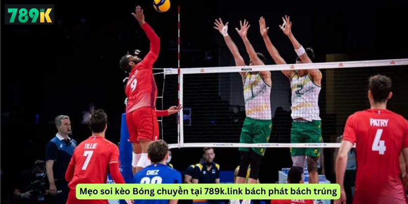 Mẹo soi kèo Bóng chuyền tại 789k.link bách phát bách trúng